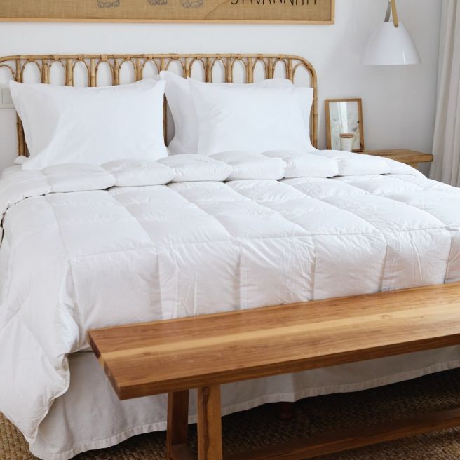 PLUMON HOME COLLECTION